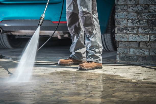 Best Restaurant Pressure Washing  in North Branch, MI