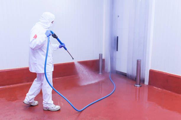 Best Graffiti Removal  in North Branch, MI