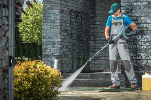 Best Patio and Deck Pressure Washing  in North Branch, MI