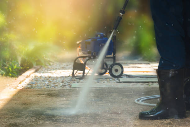 Best Sign and Awning Cleaning  in North Branch, MI